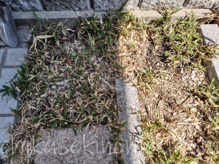 weedagarden_hoe_grasshook2